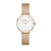 Orologi DANIEL WELLINGTON | Orologio Daniel Wellington Petite Lumine Press Ref. Dw00100590