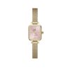 Orologi DANIEL WELLINGTON | Orologio Daniel Wellington Quadro Mini Evergold Blush Ref. Dw00100655