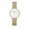 Orologi DANIEL WELLINGTON | Orologio Daniel Wellington Petite Lumine Bezel Evergold Ref. Dw00100662