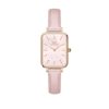 Orologi DANIEL WELLINGTON | Orologio Daniel Wellington Quadro Cherry Blossom Ref. Dw00100636